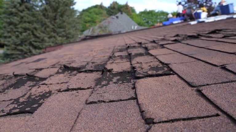 Fast & Reliable Emergency Roof Repairs in West Kittanning, PA